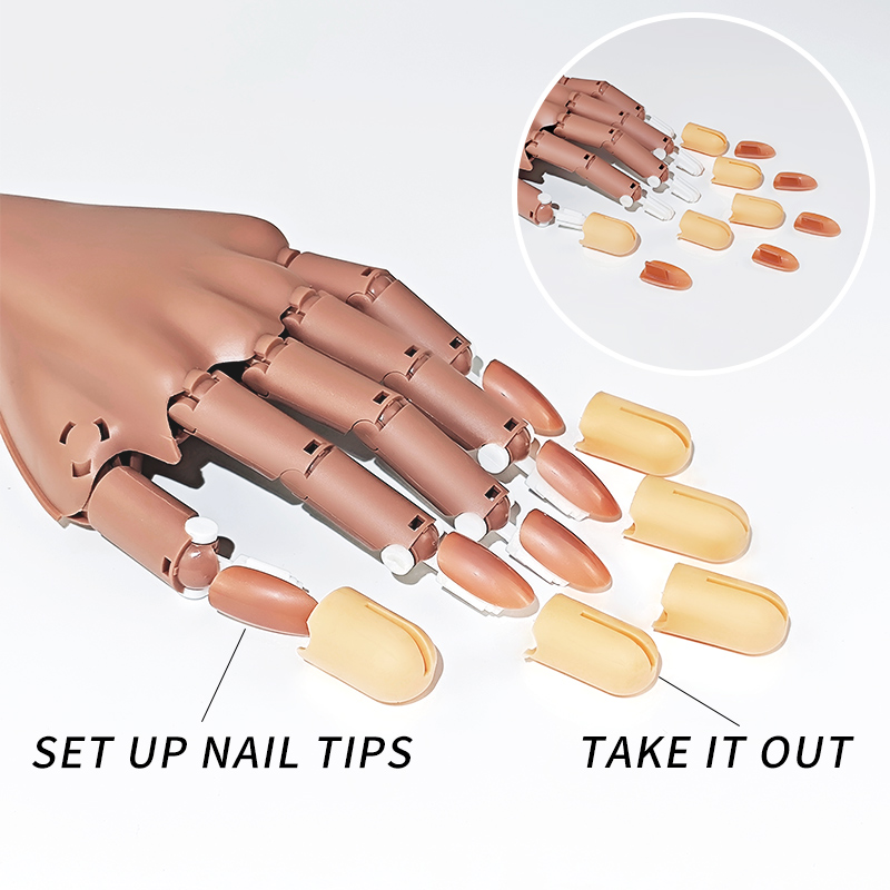 ネイル練習用ハンド 可動パーツ チップ アート用品 ツール  - Nail Art Vector のレビューと価格